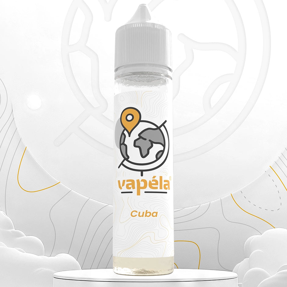 elfbar nachfüll pod läuft aus E-liquide fruité - Ibiza 50 mL